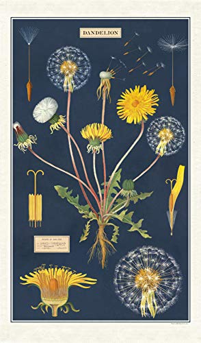 Dandelion Tea Towel