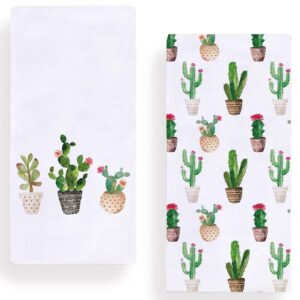 watercolor cactus kitchen dish towel 18 x 28 inch, seasonal spring summer cacti towels dish cloth for cooking baking set of 2