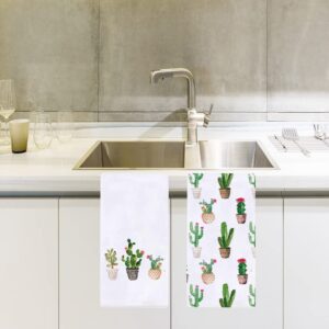 Watercolor Cactus Kitchen Dish Towel 18 x 28 Inch, Seasonal Spring Summer Cacti Towels Dish Cloth for Cooking Baking Set of 2