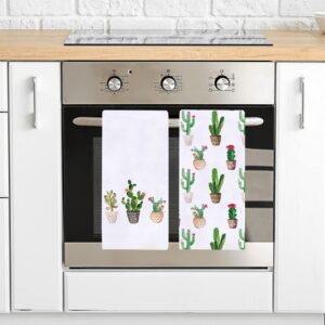 Watercolor Cactus Kitchen Dish Towel 18 x 28 Inch, Seasonal Spring Summer Cacti Towels Dish Cloth for Cooking Baking Set of 2