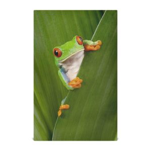 red eye frog kitchen towels green leaf dishcloths set 4 pack hand dish towel tea bar towels 18 x 28 in cleaning cloths soft absorbent fast drying for cooking baking