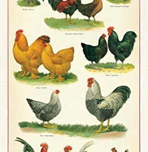 Cavallini Papers & Co. Chickens Tea Towel, Multicolor