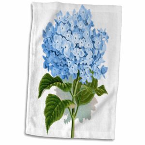 3D Rose Blue Hydrangea Flowers Vintage Art-Floral Drawing-Summery-Flowery Spring-Antique Image Towel, 15" x 22", Multicolor