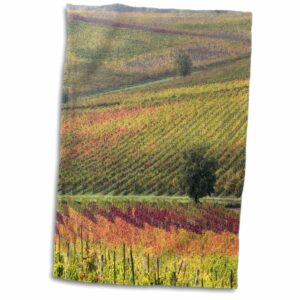 3d rose italy-tuscany. colorful vineyards and olive trees in autumn hand towel, 15" x 22"