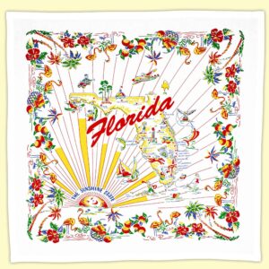 florida state souvenir dish towel