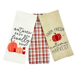 serafina home farmhouse kitchen dish towels: autumn days are finally here, enjoy! pumpkin theme (design 4)