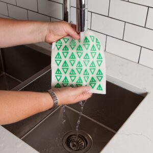 Ecologie Swedish Sponge Reusable Dishcloth, Greenbriar 2 Count