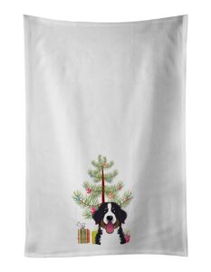 caroline's treasures bb1609wtkt christmas tree and bernese mountain dog white kitchen towel set of 2 dish towels decorative bathroom hand towel for hand, face, hair, yoga, tea, dishcloth, 19 x 25, wh