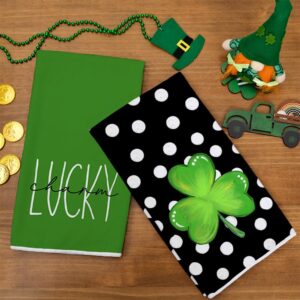 ARKENY St Patricks Day White Polka Dot Kitchen Towels Dish Towels St. Patrick's Day Decorations for Home Décor Ultra Absorbent Bar Drying Cloth 18x26 Inch Hand Towel for Cooking Set of 2