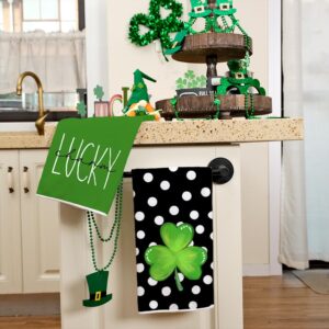 ARKENY St Patricks Day White Polka Dot Kitchen Towels Dish Towels St. Patrick's Day Decorations for Home Décor Ultra Absorbent Bar Drying Cloth 18x26 Inch Hand Towel for Cooking Set of 2