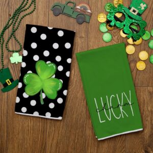 ARKENY St Patricks Day White Polka Dot Kitchen Towels Dish Towels St. Patrick's Day Decorations for Home Décor Ultra Absorbent Bar Drying Cloth 18x26 Inch Hand Towel for Cooking Set of 2