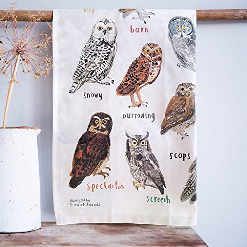 Sarah Edmonds Illustration Hooters Owl Towel - Anytime Owl Gifts, Birthday Gifts for Her & Get Well Soon Gifts for Women, 100% Cotton, 19 x 30-inches (Hooters/Owls)