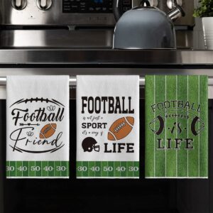 Artoid Mode Rugby Field Helmet Football Kitchen Towels Dish Towels, 18x26 Inch Seasonal Decoration Hand Towels Set of 4