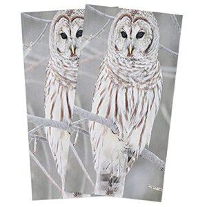 circleo cotton kitchen towels 2 pack, winter owl branches animal kitchen dish towels, absorbent dish cloths/bar towels/tea towels/hand towels with hanging loop, ultra soft