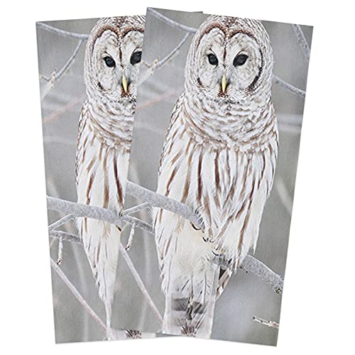 CirCleO Cotton Kitchen Towels 2 Pack, Winter Owl Branches Animal Kitchen Dish Towels, Absorbent Dish Cloths/Bar Towels/Tea Towels/Hand Towels with Hanging Loop, Ultra Soft