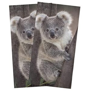 circleo cotton kitchen towels 2 pack, koala bear australia wild animals kitchen dish towels, absorbent dish cloths/bar towels/tea towels/hand towels with hanging loop, ultra soft