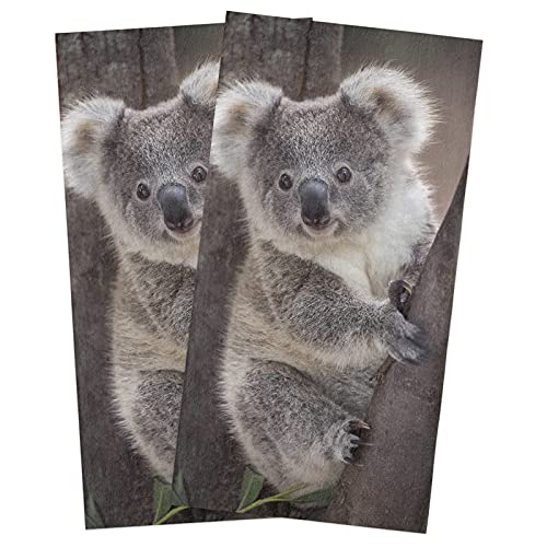 CirCleO Cotton Kitchen Towels 2 Pack, Koala Bear Australia Wild Animals Kitchen Dish Towels, Absorbent Dish Cloths/Bar Towels/Tea Towels/Hand Towels with Hanging Loop, Ultra Soft