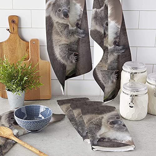 CirCleO Cotton Kitchen Towels 2 Pack, Koala Bear Australia Wild Animals Kitchen Dish Towels, Absorbent Dish Cloths/Bar Towels/Tea Towels/Hand Towels with Hanging Loop, Ultra Soft