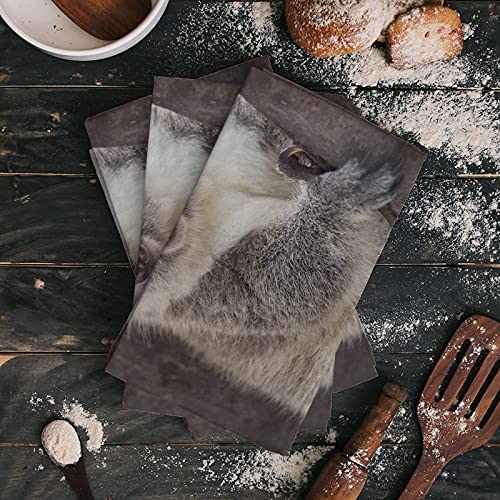 CirCleO Cotton Kitchen Towels 2 Pack, Koala Bear Australia Wild Animals Kitchen Dish Towels, Absorbent Dish Cloths/Bar Towels/Tea Towels/Hand Towels with Hanging Loop, Ultra Soft