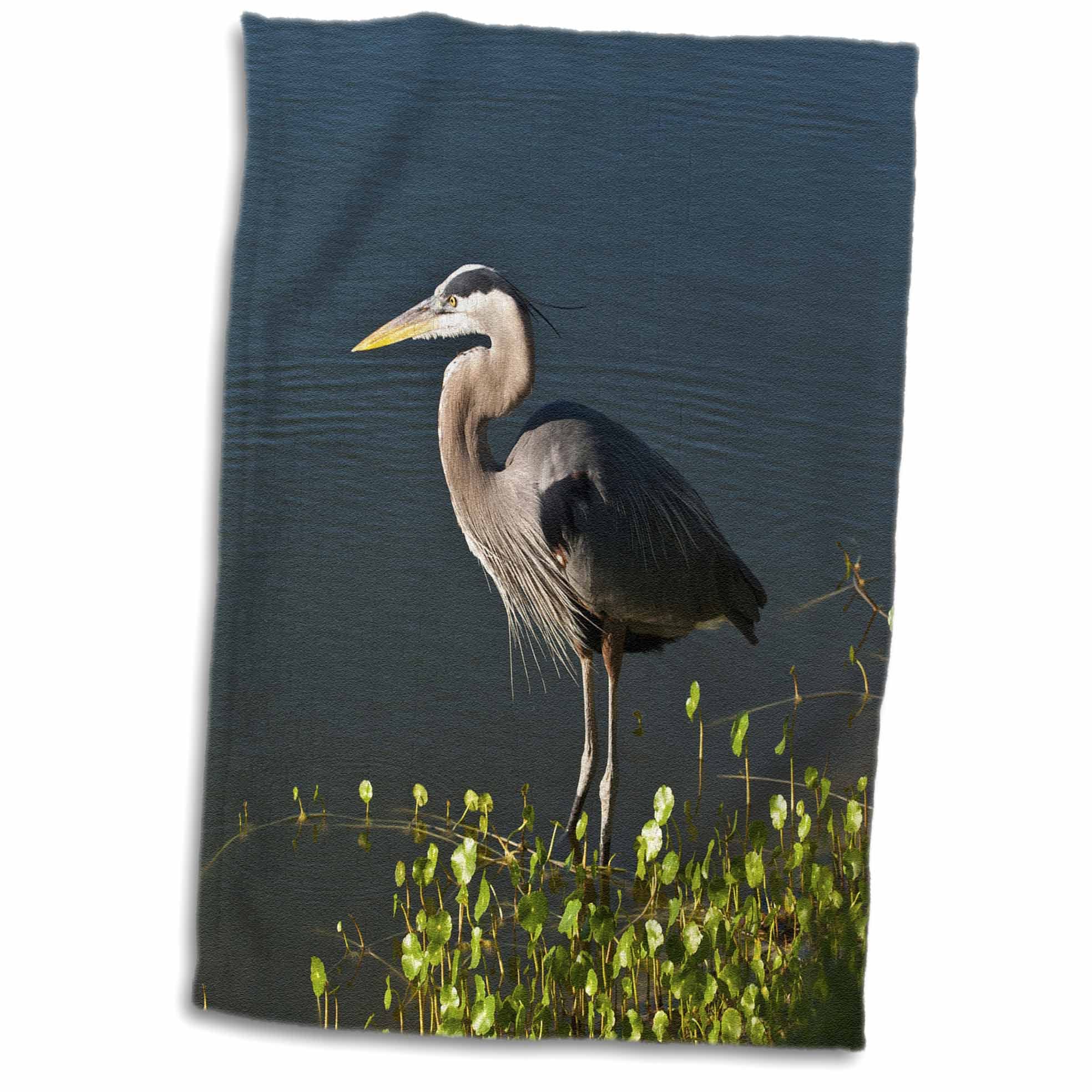 3D Rose Florida-Blue Heron Hunting at Shoreline Hand Towel, 15" x 22"