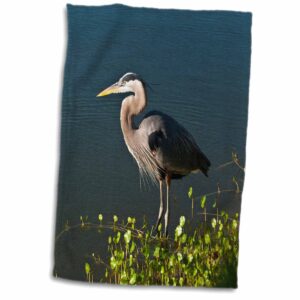 3D Rose Florida-Blue Heron Hunting at Shoreline Hand Towel, 15" x 22"