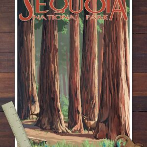 Lantern Press Sequoia National Park, Forest Grove in Spring (12x18 Art Print, Travel Poster Wall Decor)