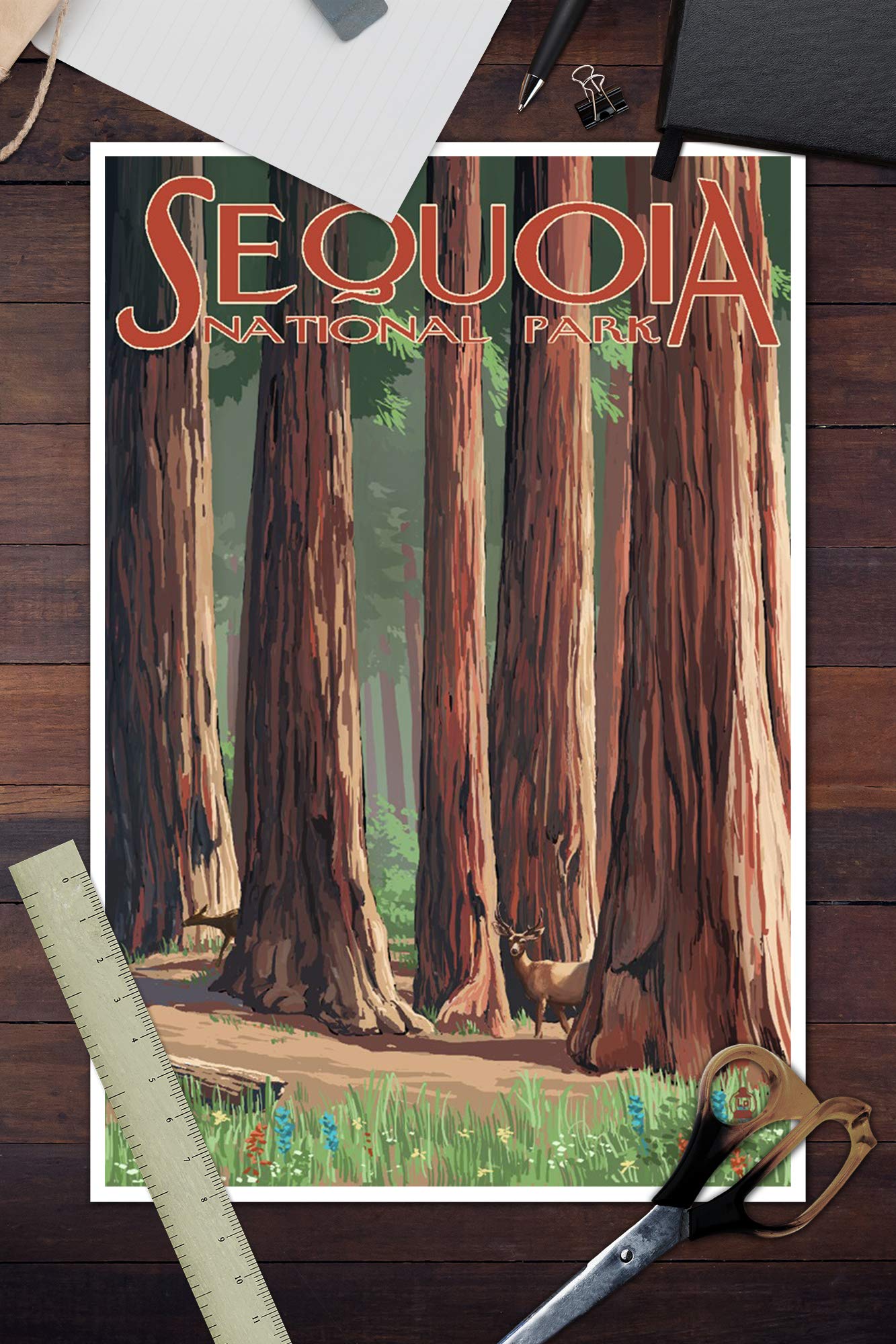 Lantern Press Sequoia National Park, Forest Grove in Spring (12x18 Art Print, Travel Poster Wall Decor)