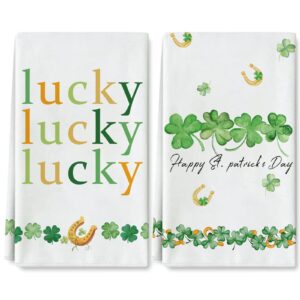 anydesign st. patrick's day kitchen towel watercolor lucky shamrock clover dish towel 18 x 28 inch irish holiday hand drying tea towel for cooking baking cleaning wipes, 2 packs