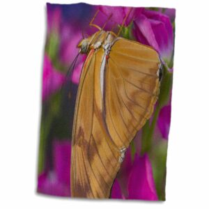 3D Rose Dryas Julia Butterfly-Us48 Dgu0398-Darrell Gulin Hand/Sports Towel, 15 x 22