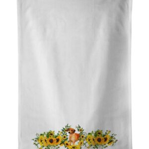 Caroline's Treasures CK2868WTKT Rhodesian Ridgeback in Sunflowers White Kitchen Towel Set of 2 Dish Towels Decorative Bathroom Hand Towel for Hand, Face, Hair, Yoga, Tea, Dishcloth, 19 X 25, White