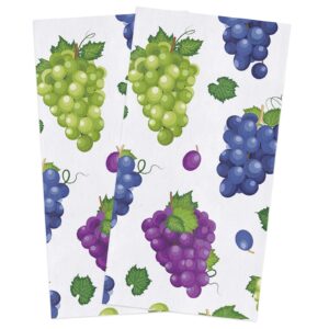 big buy store farm grape kitchen dish towels set of 2, soft lightweight microfiber absorbent hand towel purple green fruit tea towel for kitchen bathroom 18x28in