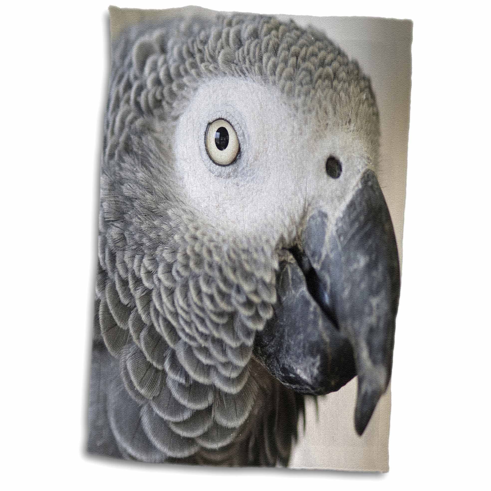 3D Rose African Grey Parrot Tropical Bird-Na02 Mfr0001-Mfr Towel, 15" x 22", Multicolor