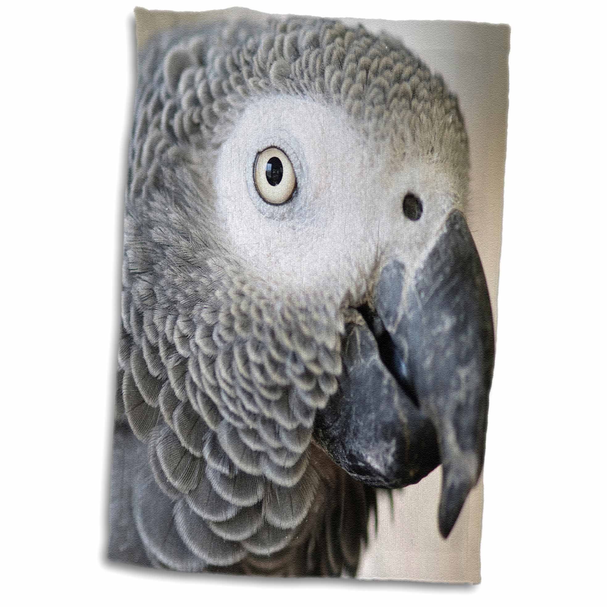 3D Rose African Grey Parrot Tropical Bird-Na02 Mfr0001-Mfr Towel, 15" x 22", Multicolor