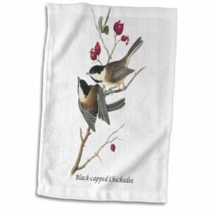 3d rose black-capped chickadee by john james audubon hand/sports towel, 15 x 22