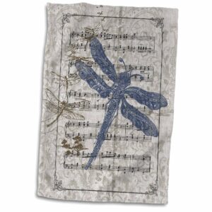 3D Rose Vintage Dragonflies On Sheet of Music Hand/Sports Towel, 15 x 22