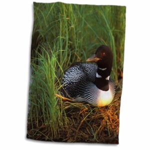 3d rose minnesota-common loon bird-leech lake-us24 pha0015-peter hawkins hand/sports towel, 15 x 22