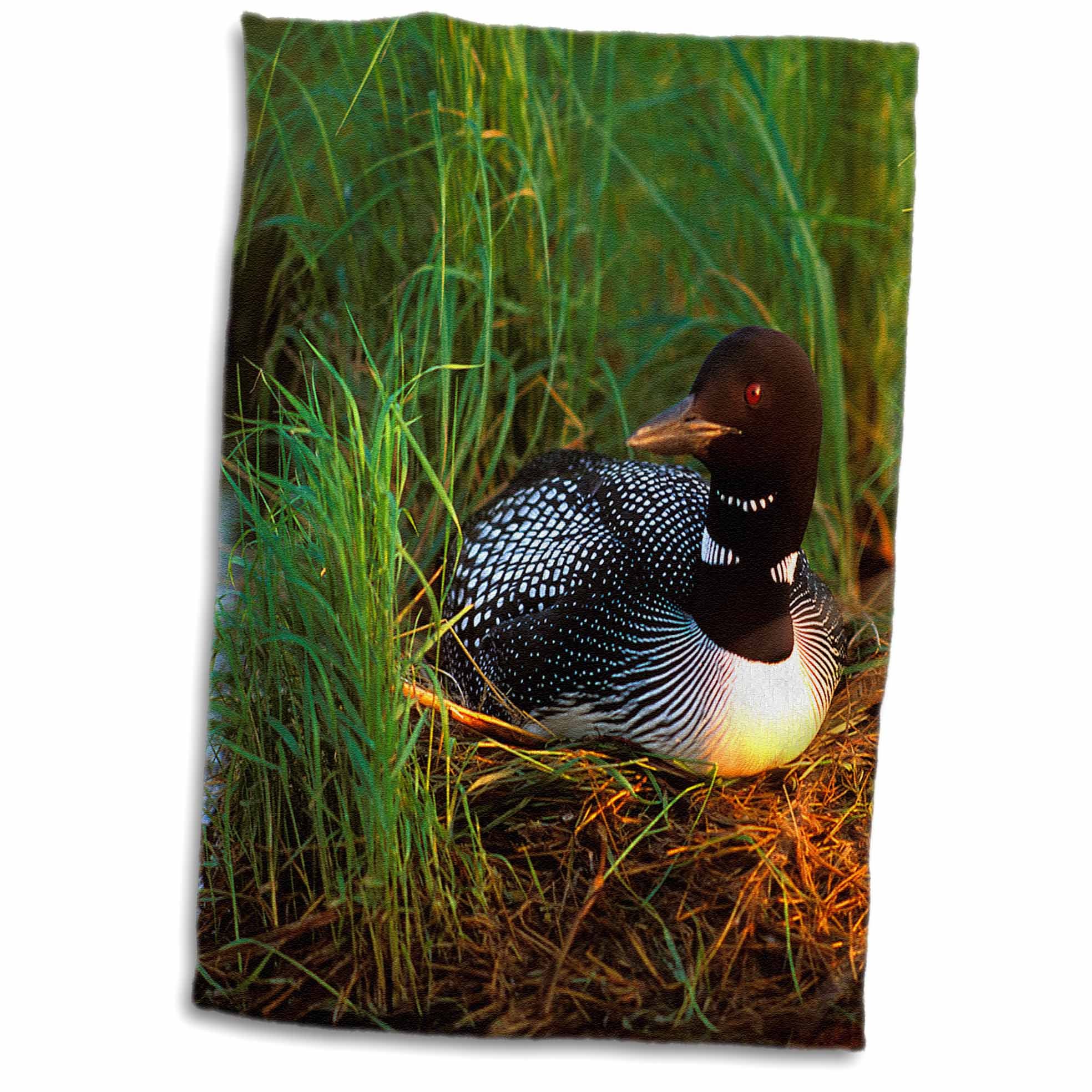 3D Rose Minnesota-Common Loon Bird-Leech Lake-Us24 Pha0015-Peter Hawkins Hand/Sports Towel, 15 x 22