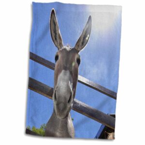 3d rose donkey in a farm towel, 15 x 22