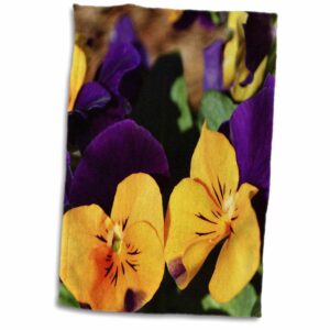 3d rose gold and purple beautiful two tone colored pansies twl_181143_1 towel, 15" x 22", multicolor