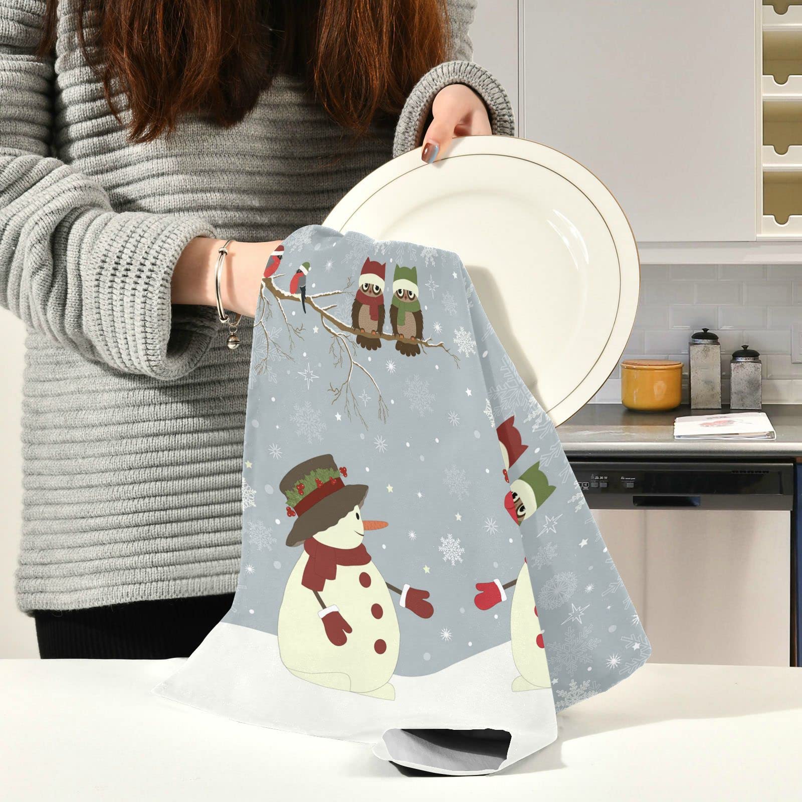 SLHKPNS Snowman Birds Kitchen Dish Towel Set of 4,Christmas Owls 18x28in Absorbent Dishcloth Reusable Cleaning Cloths for Household Use