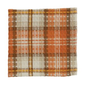 park designs pumpkin seed dischcloth