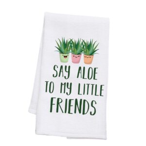 bdpwss plant lover gift say aloe to my little friends dish towel for gardener gift succulent plant gift crazy plant lady gift (say aloe friends tw)