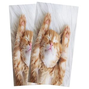 buling soft and super absorbent dish towels cute cat lovely animal for pet lover 2pcs microfiber kitchen towels for drying dishes,multipurpose dish cloths - 28 x 18 inch