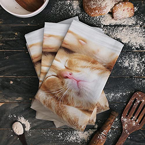 BULING Soft and Super Absorbent Dish Towels Cute Cat Lovely Animal for Pet Lover 2PCS Microfiber Kitchen Towels for Drying Dishes,Multipurpose Dish Cloths - 28 x 18 Inch