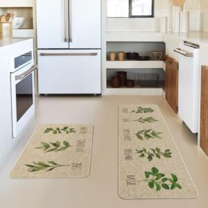 Artoid Mode Parsley Sage Oregano Basil Bay Leaves Decorative Kitchen Mats Set of 2, Seasonal Holiday Party Low-Profile Floor Mat for Home Kitchen - 17x29 and 17x47 Inch