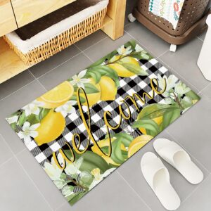 Aomike Summer Lemon Kitchen Mats 2 Piece, Lemon Green Leaves Flower Welcome Kitchen Rugs Set Buffalo Plaid Check Inside Floor Mat for Kitchen/Office/Entryway, 15.7" x 23.6"+15.7" x 47.2"