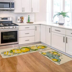 Artoid Mode Eucalyptus Lemon Truck Summer Kitchen Mats Set of 2, Spring Home Decor Low-Profile Kitchen Rugs for Floor - 17x29 and 17x47 Inch