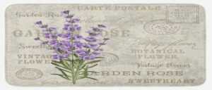 lunarable lavender kitchen mat, vintage postcard composition with grunge display and flowers, plush decorative kitchen mat with non slip backing, 47" x 19", lavender green