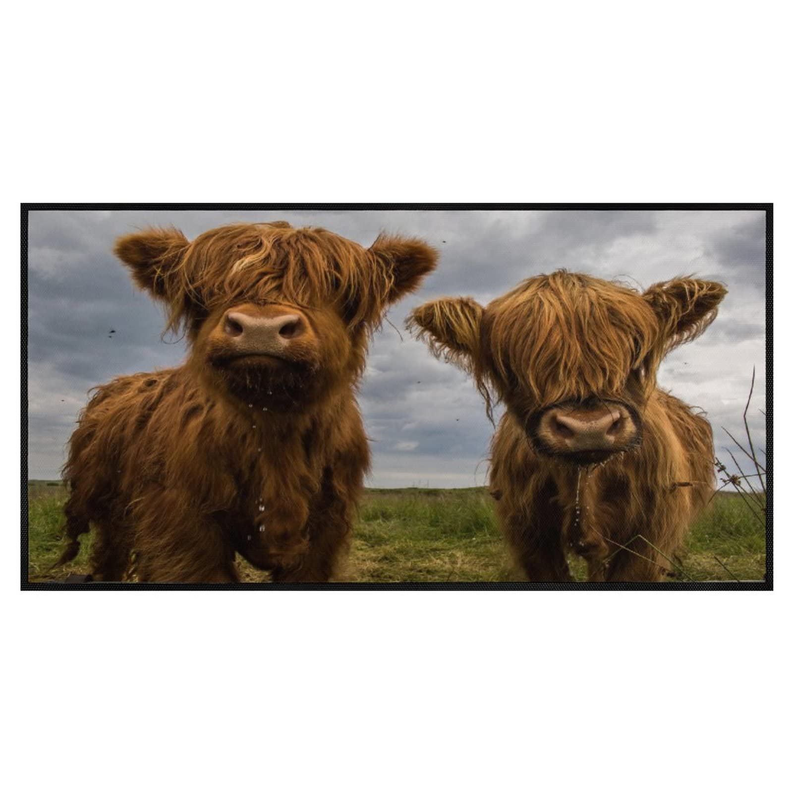 TsyTma Cute Wild Highland Cows Kitchen Rugs Floor Mats Washable Non-Slip Bathroom Rug Runner Kitchen mats for Floor Laundry Room Mat Western Kitchen Decor 39x20 Inch