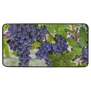 Fruit Grape Grapevine Vines Kitchen Floor Mat Door Mats Inside Outside Front Doormat Non Slip Kitchen Rug for Home, 39" x 20"